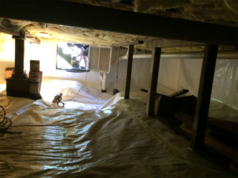 Crawl Space Services